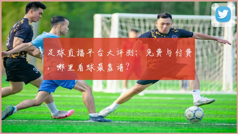 足球直播平台大评测:免费与付费,哪里看球最靠谱?